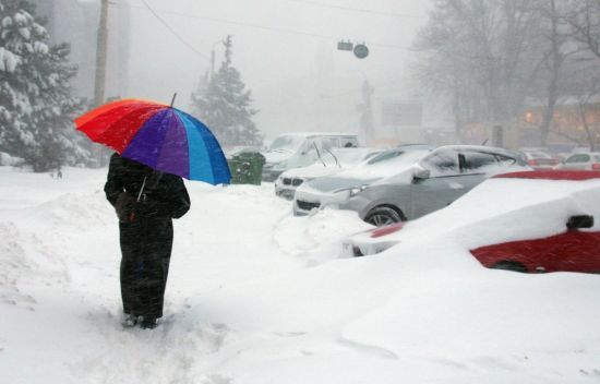  �������� ���� ������ ����� ������� ����������� ���� ������ 