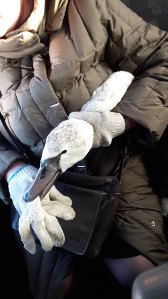  ������ ���� ���� 