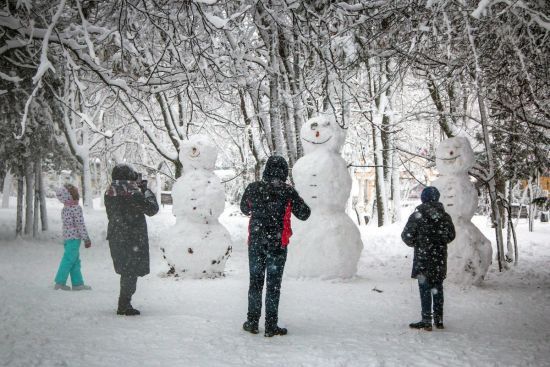  ����������� ������ ���� 