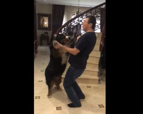  ������� ����� ���� 