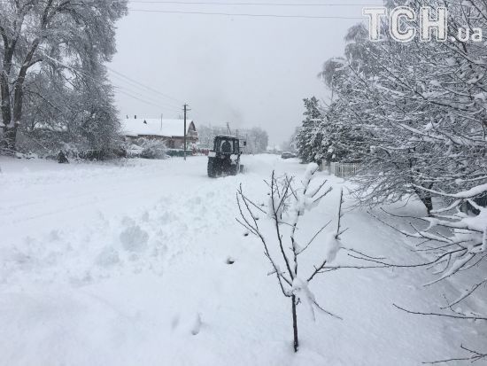  ����� ���� ������ ������ 