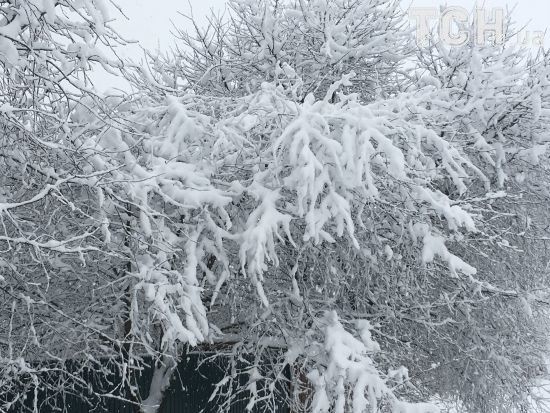 ����: ru.tsn.ua