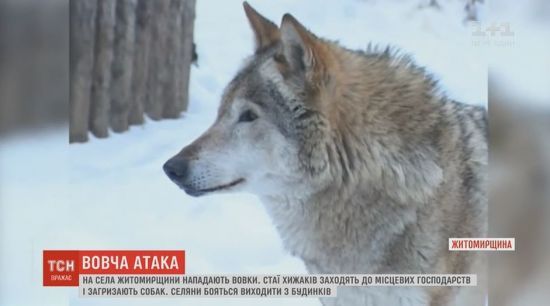  ������ ������ ���� ������� ������ �������� ����� 