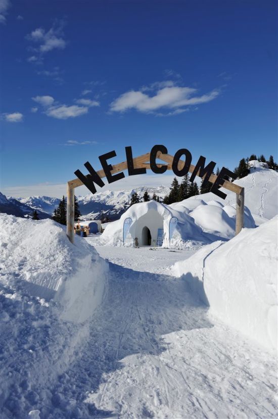  ���� ����� ���������� ���������� ���� 