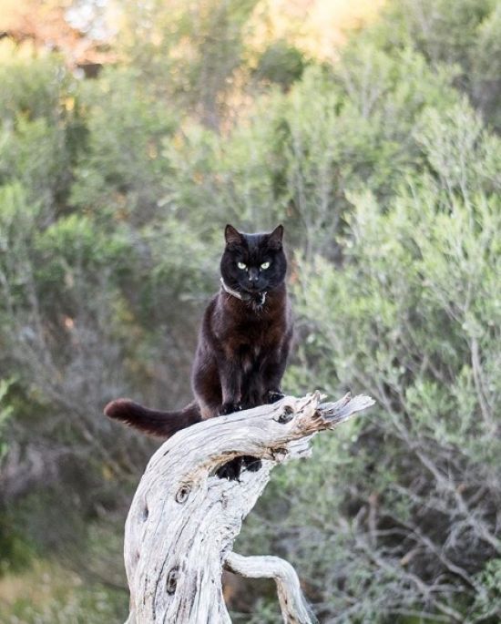  ���������� ������ ������� ������ ��� ���������� �������������� ������ 