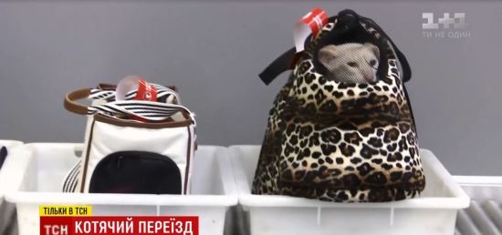 ����: ru.tsn.ua