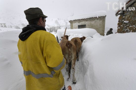 ����: ru.tsn.ua