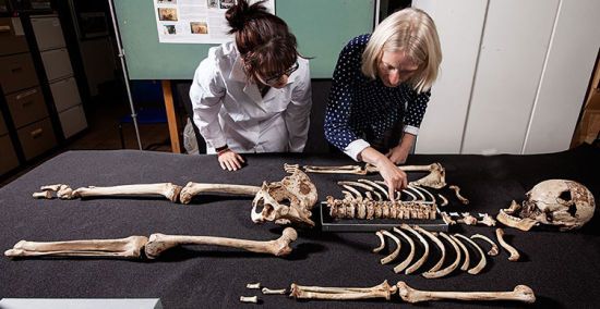  ������ ���� �������� ������ ������ ���������� ������ ������ 