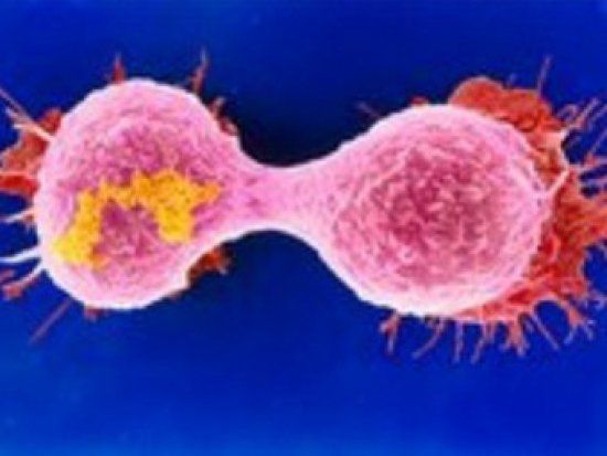  �������� ������ �������� ������ ����� 