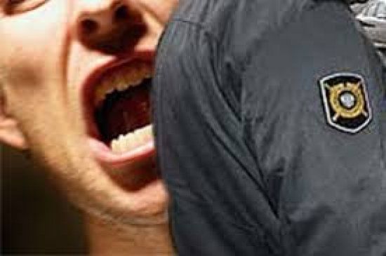  ����� �������-�������� ������� ������������ ����� ���������� 