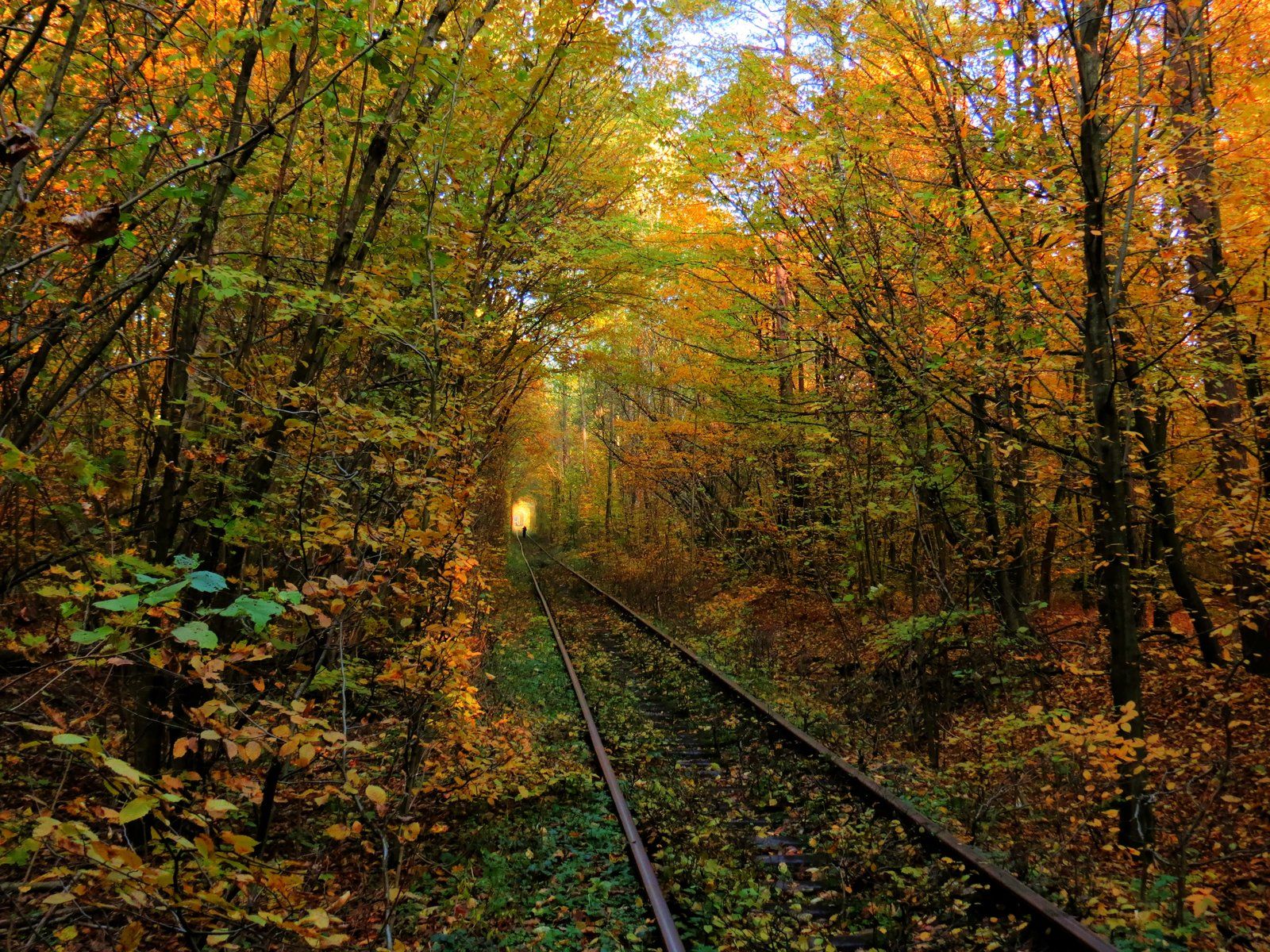 Love tunnel