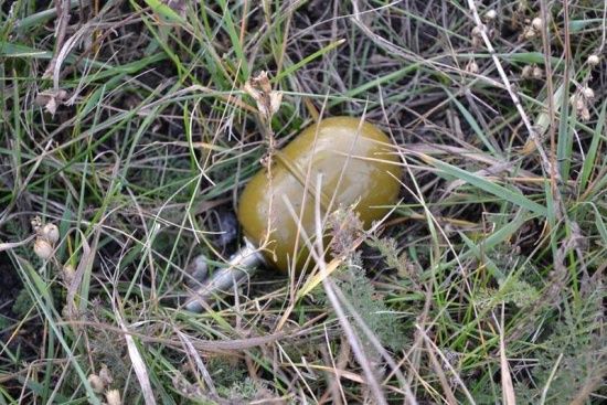  ������� ����������� ���������� ������� ������ ������� ����� 