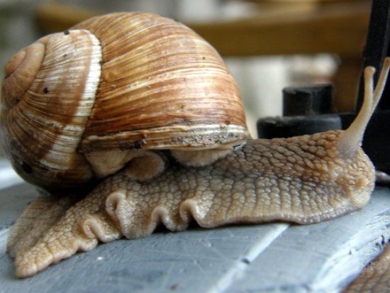 ����: ru.tsn.ua