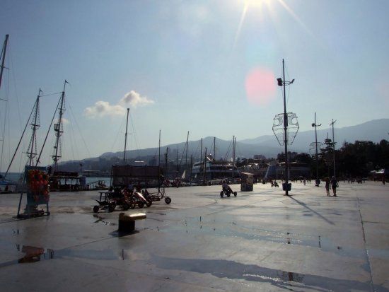  ����� ���� �������� ������ 2014 