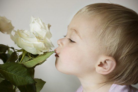  ��������� ������ ������� ����� ����� ����� ������ ������������ 