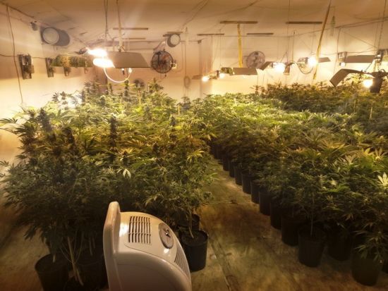  �������� ��� ������� �������� ��������� ��������� ������ 500 