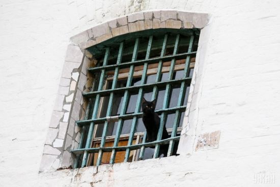  ���������� 2017 ���� 