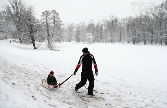  �������� ������ ���� ����������� ������� �������� ���� 