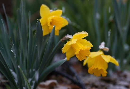 ����: ru.tsn.ua