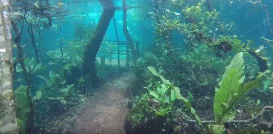  �������� ���������� �������� ��������� ��� 
