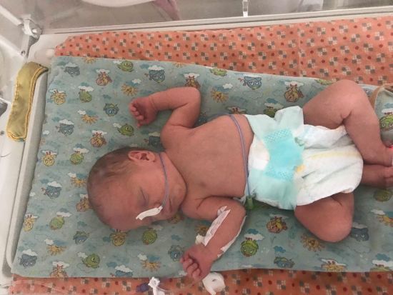  �������� ������ ��������� ��������� ������ ����� 