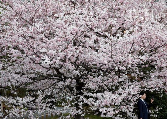  ����� �������� ����������� �������� ������ 