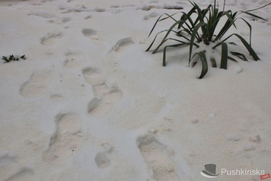  ���� ����� ������� 