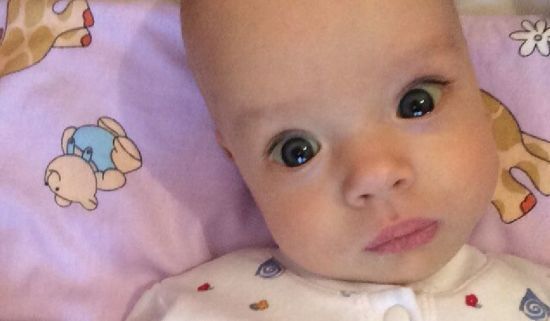  ������ ���� ������ ������ 