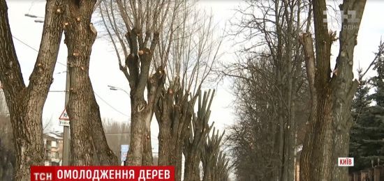 ����: ru.tsn.ua