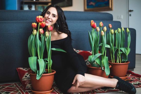  ������ ������� ������ �������� 