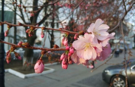  �������� ������ �������� �������� �������� ������ 