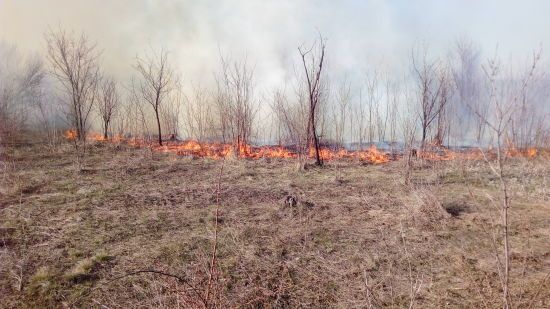  �������� ��������� ������������ ������� 