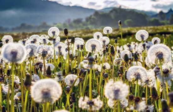  ���� ����� ������� ����������� �������� 7-12 ������� ����� 