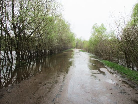  ������������ ���������� ����� ����������� ������� ���������� 