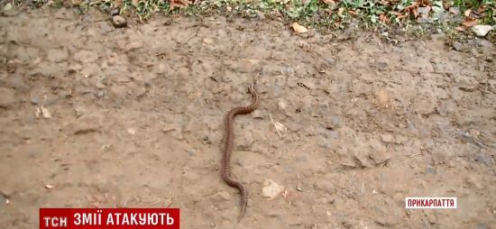  ������� ������ ������ �������� ���� ������� ����� ����������� 