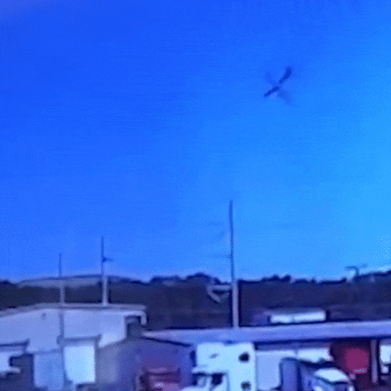 ����: ru.tsn.ua