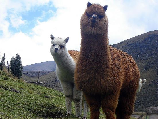 ����: ru.tsn.ua