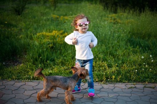  ������� ����� ��������� ������ ������� 