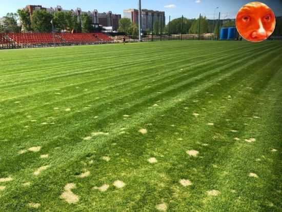  ������� ������� ����� ���� ������������� ��������� ������ ��-2018 