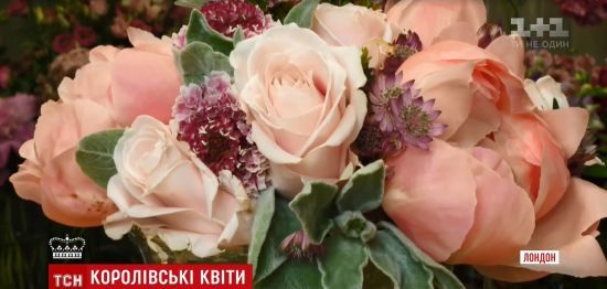  ����� ����� ������� ��� ������ ������ ����������� ����� 