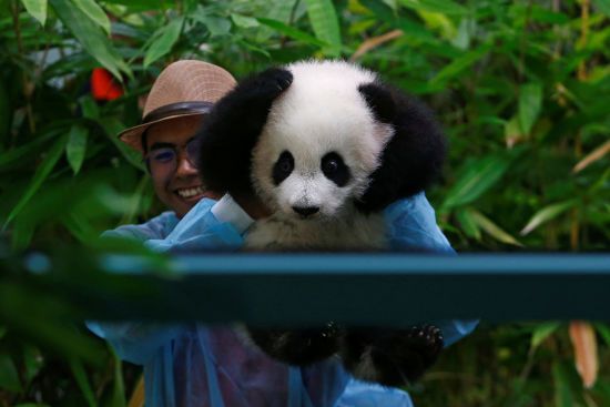  �������� �������� �������� ������ ����� 