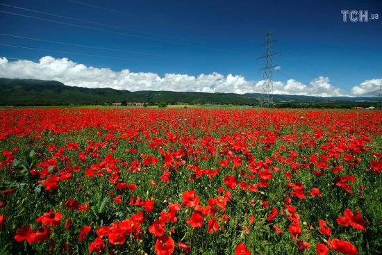  ����������� ��������� ������ ������� ������ ���� 