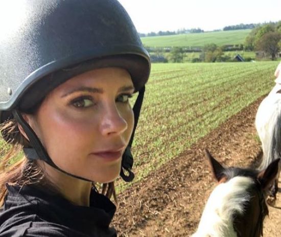  �������� ������ ����� ������ ����� 