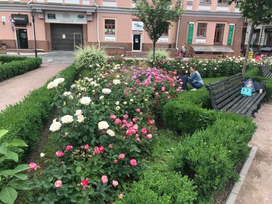  ��� ����������� ������������ ����������� ���������� ����������� 