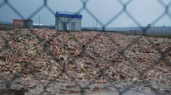  ��� �������� ������� ���������� ��� ������ ������ 