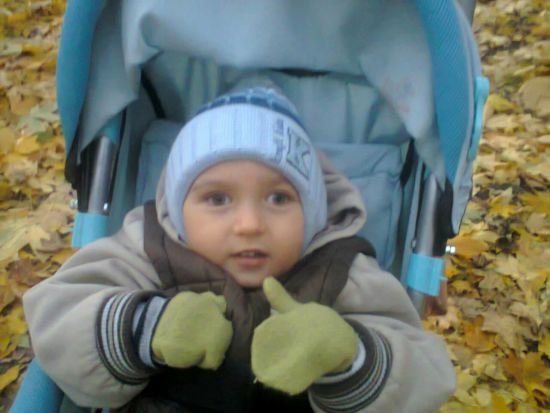  ��������� ������������ ��������� ���� 