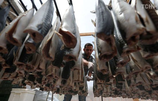  �������� ������ ���� ������� �������� ������� 