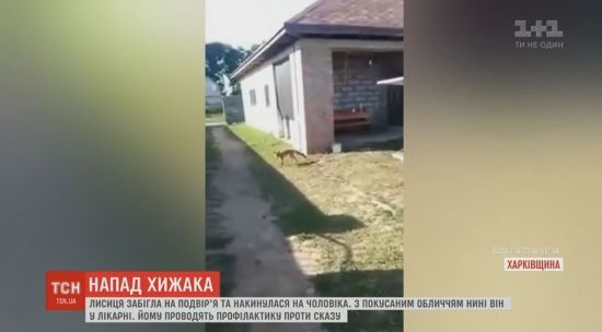  ����������� ���� ��������� ������� ����� 