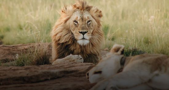  �������� ������� ���� mars �������� ������ ������� ���������� 