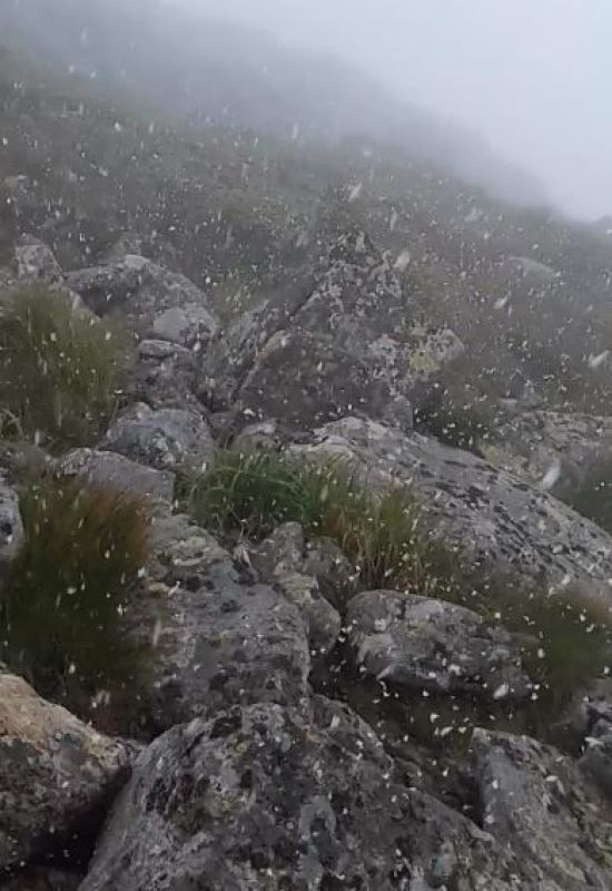 ����: ru.tsn.ua